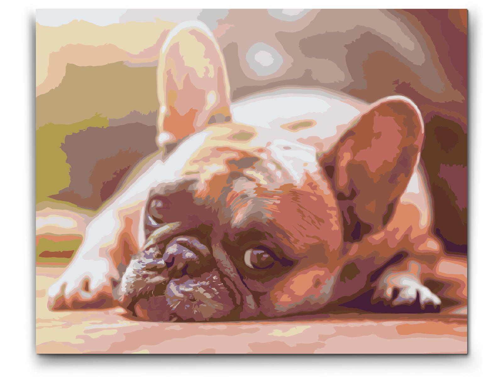 Painting by Numbers - Bulldog